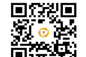 Bộ nhận diện Ngày Chuyển đổi số quốc gia